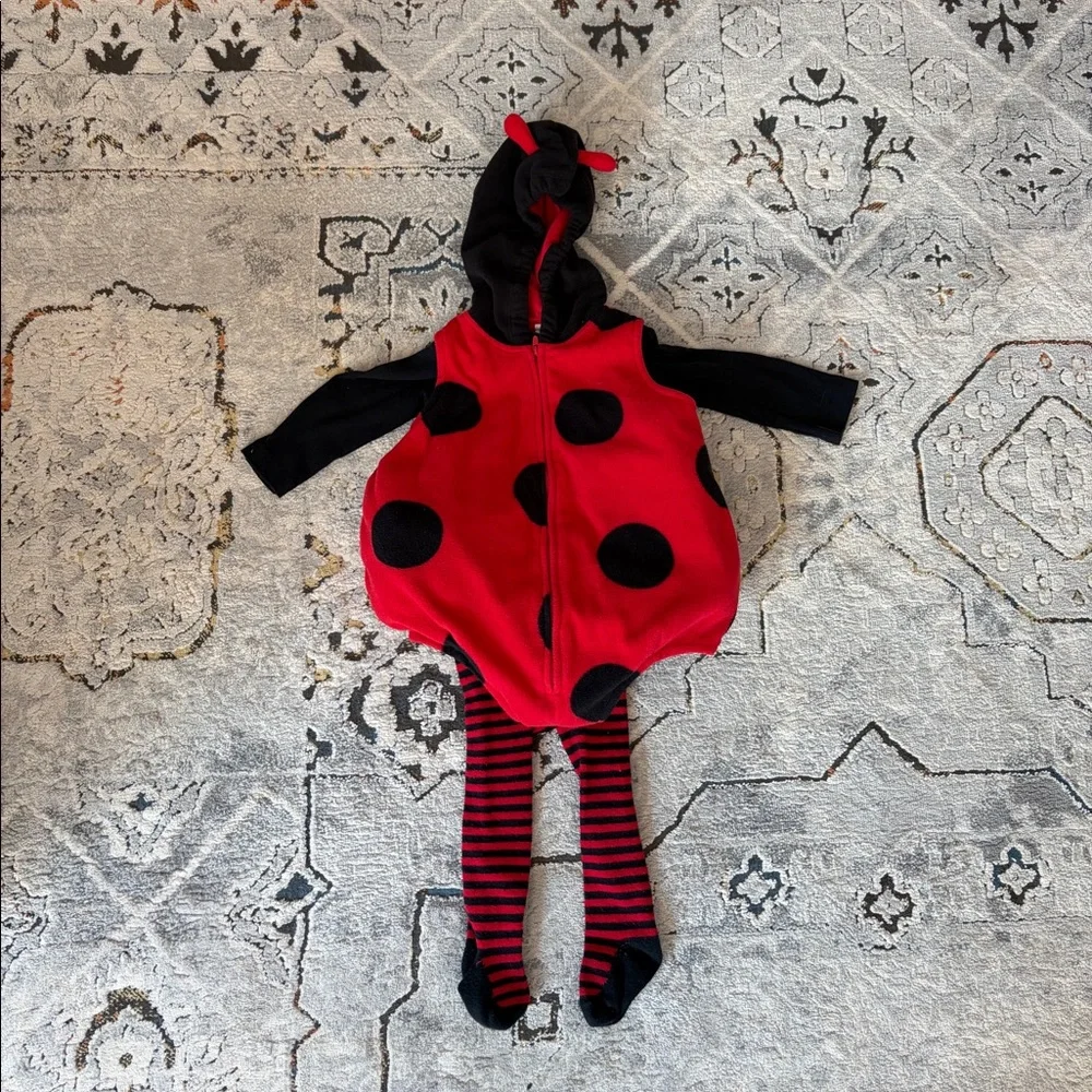 Carter’s 3 piece ladybug costume, size 12 months